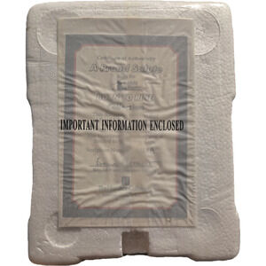 Hamilton Collection Born to Ride Figurine 2003 Motorcycle Bear Decor